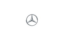 Mercedes-Benz V-Class VIP